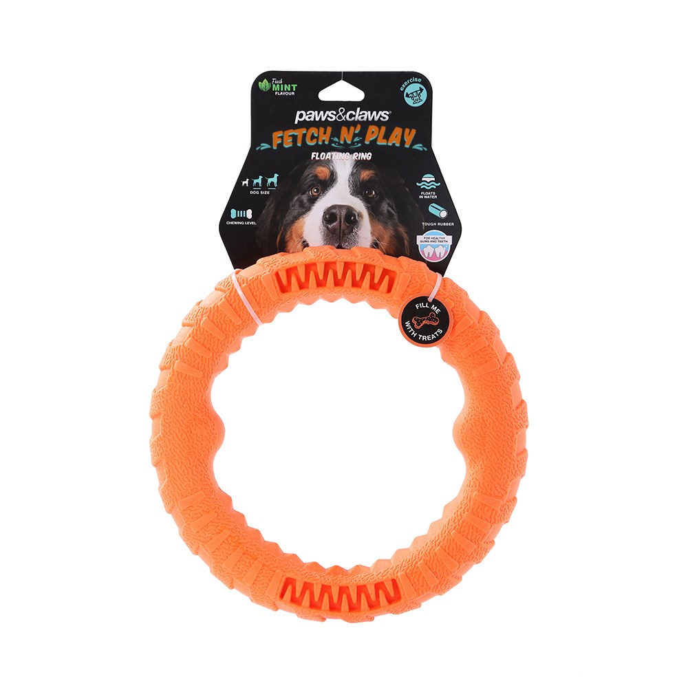 Fetch N' Play