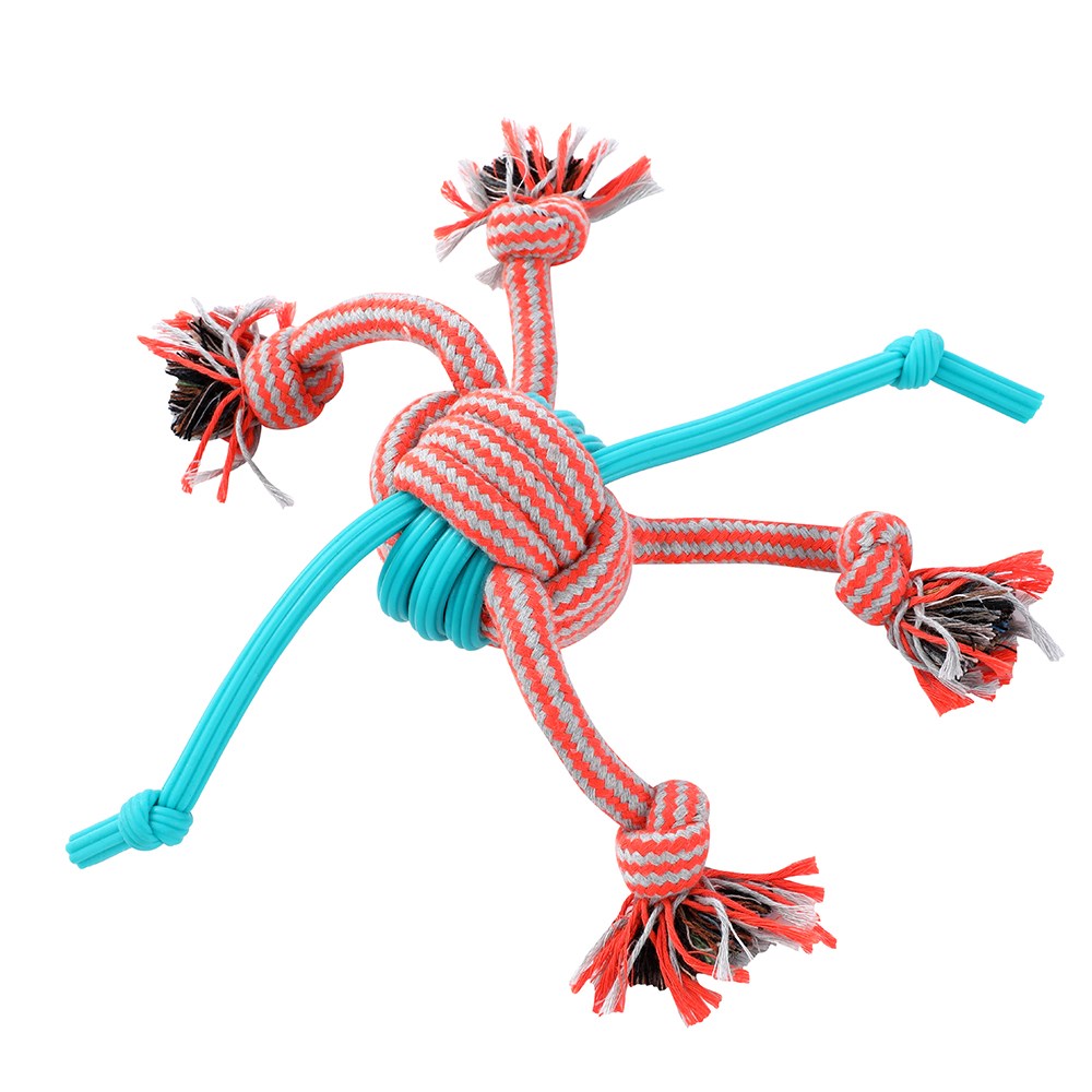 Stretch & Fetch
