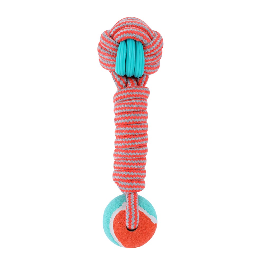 Stretch & Fetch