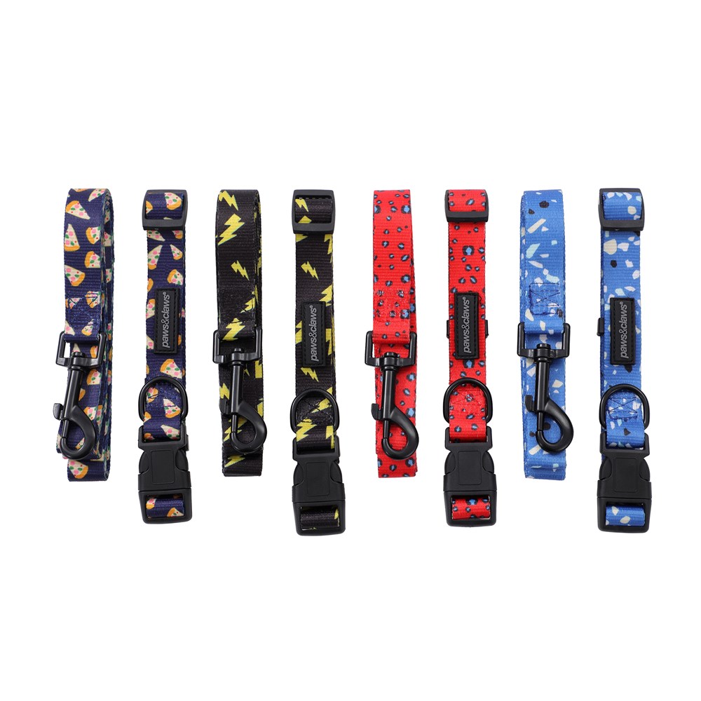 Park Life Collar + Lead Set