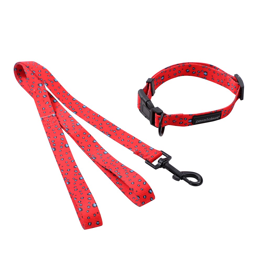 Park Life Collar + Lead Set