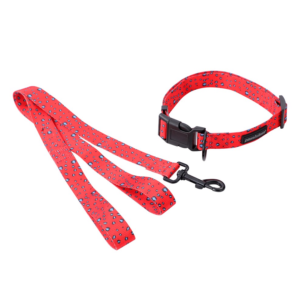 Park Life Collar + Lead Set