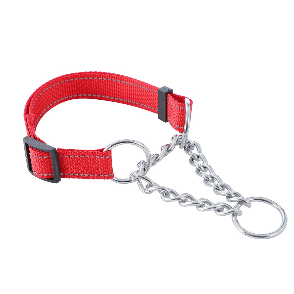 Chain Training Collar Lge W/