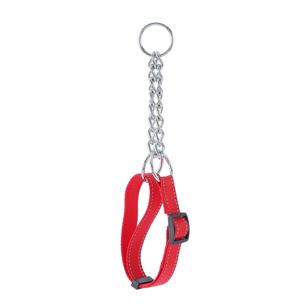 Chain Training Collar Lge W/