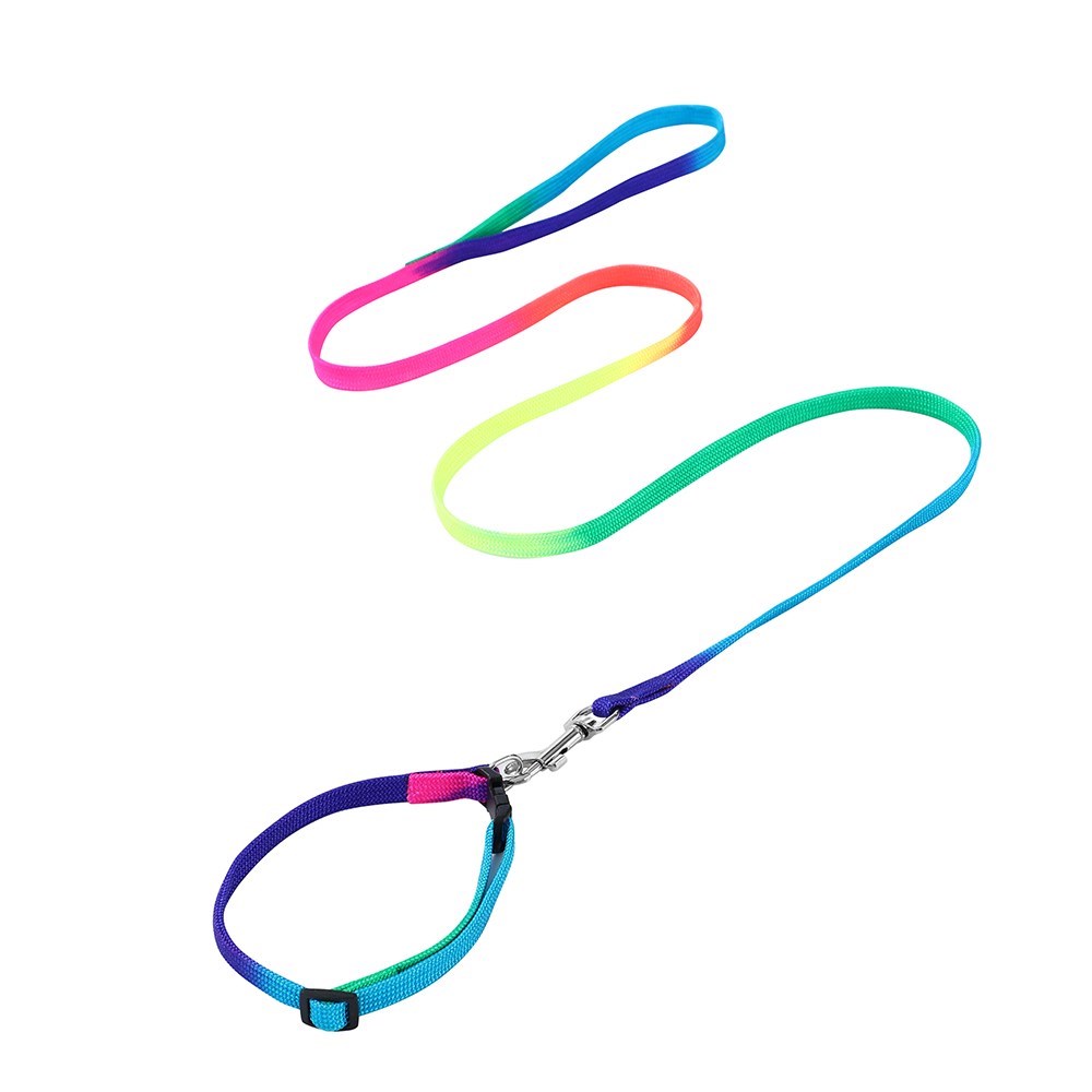 Cat Collar + Lead Set