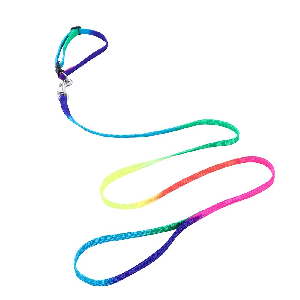 Cat Collar + Lead Set