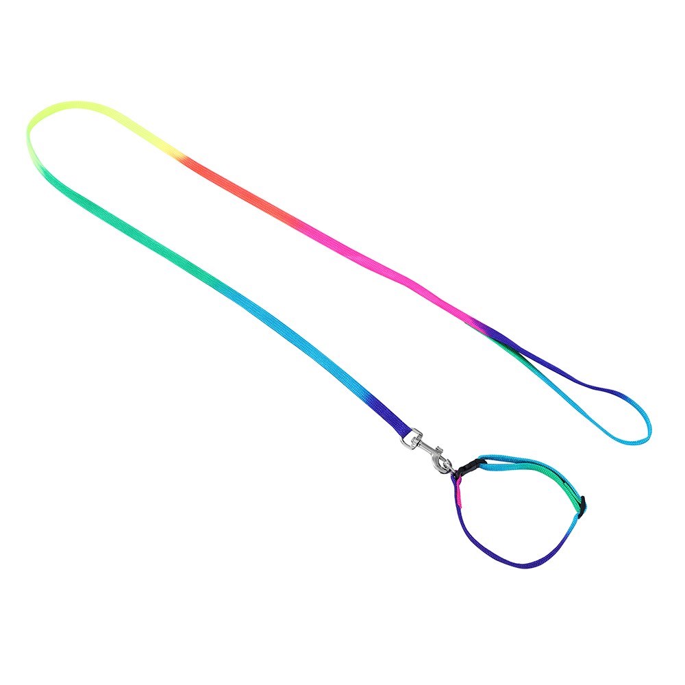 Cat Collar + Lead Set