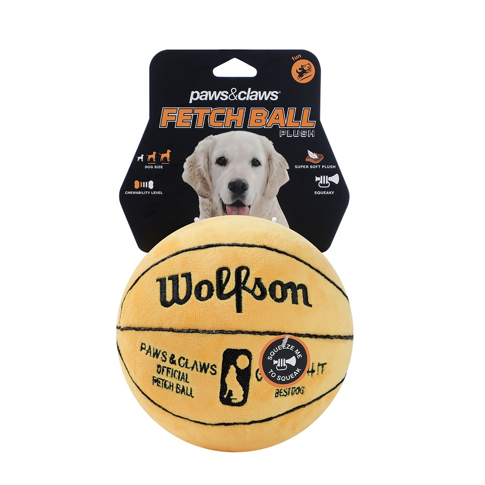 Wolfson Basketball
