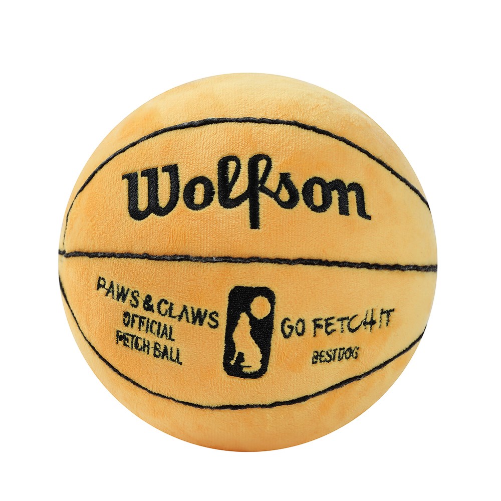Wolfson Basketball