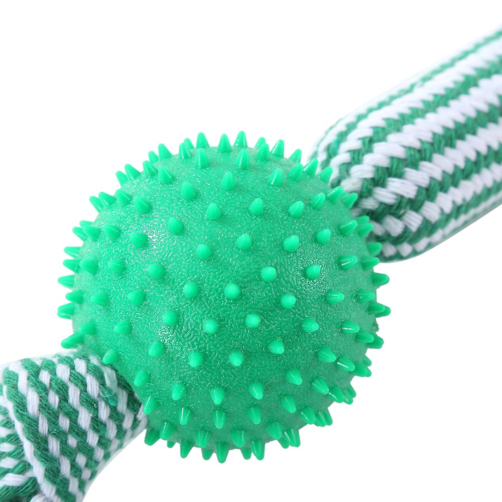 Dental Tugger Toy Tpr