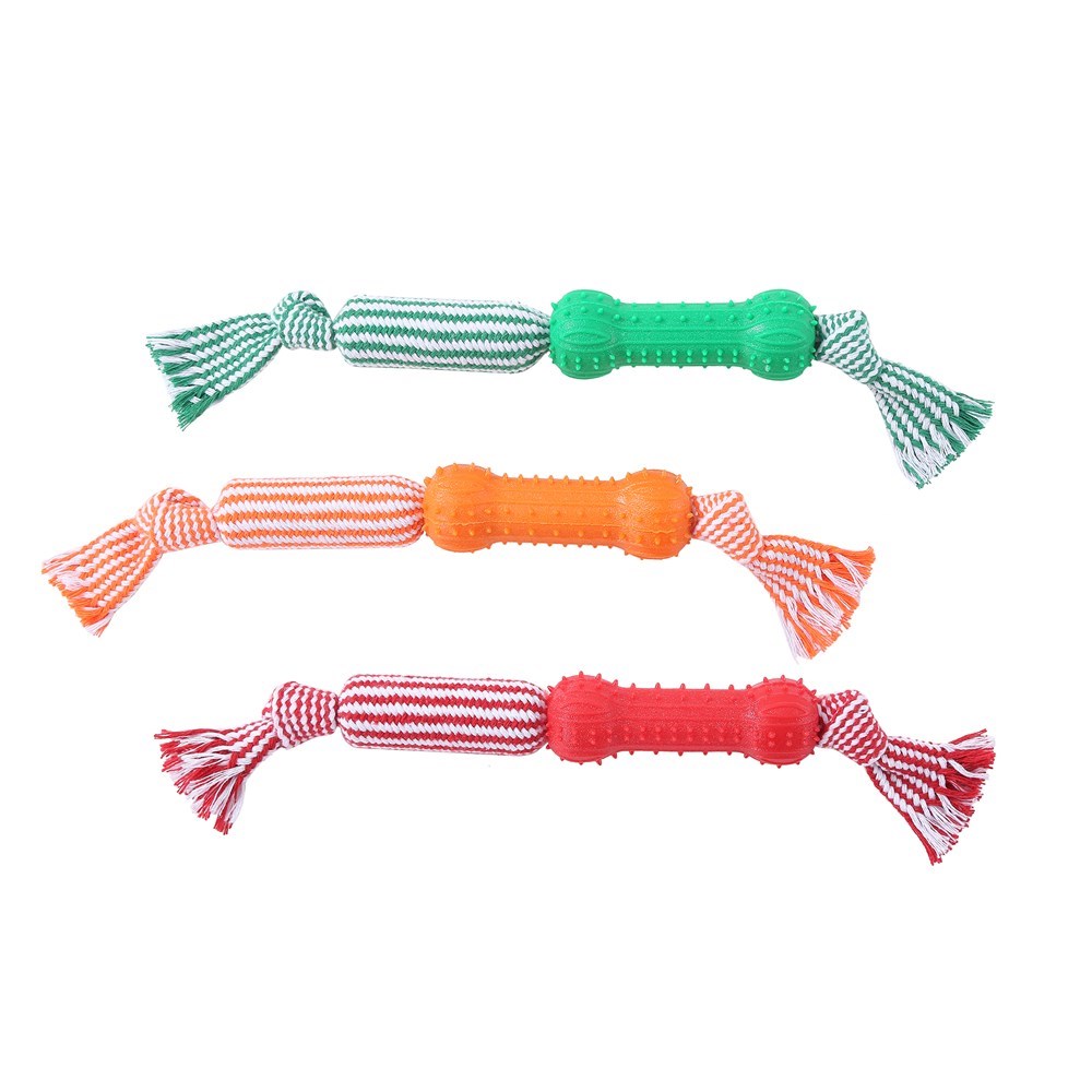 Dental Tugger Toy Tpr