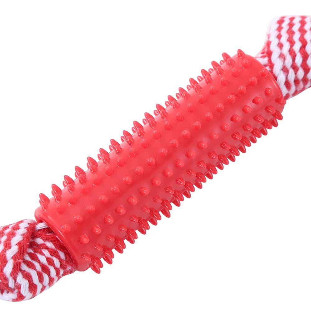 Dental Tugger Toy Tpr