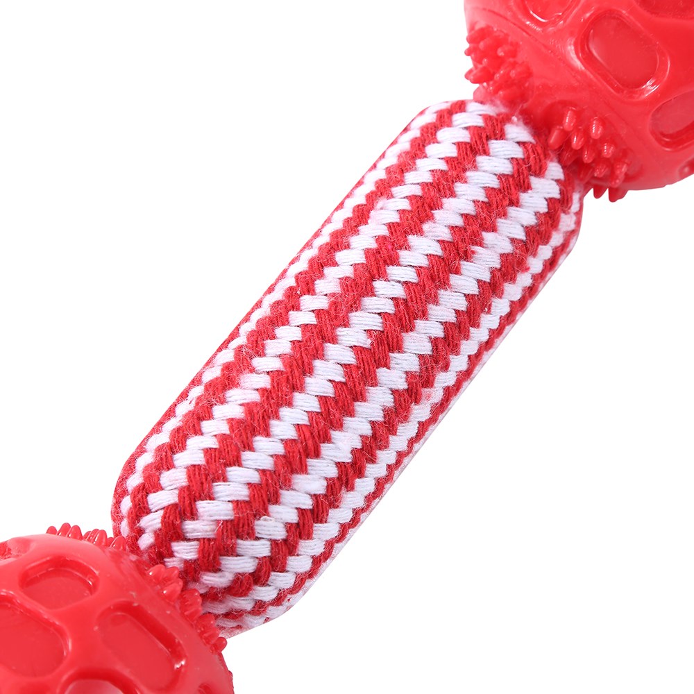 Dental Tugger Toy Tpr