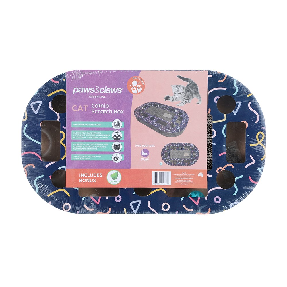 Cardboard Cat Activity