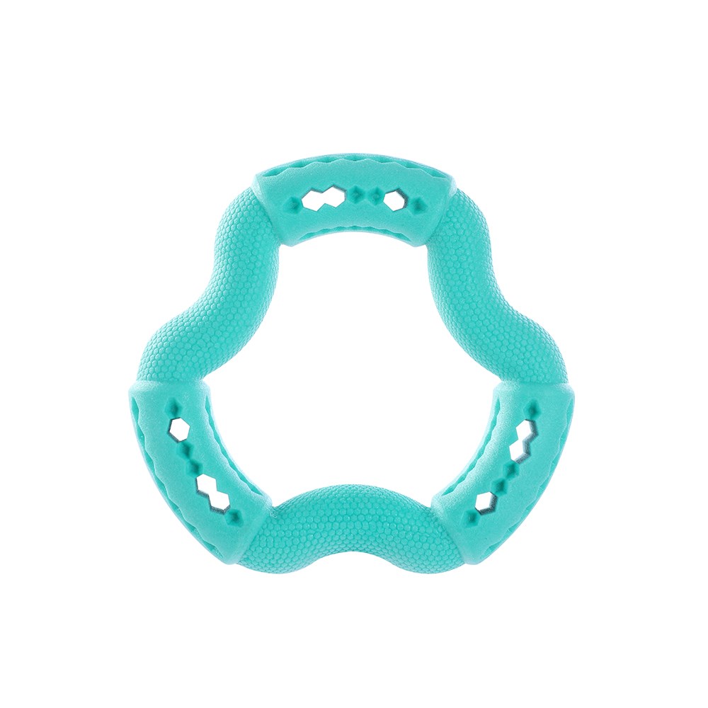 Fetch N' Play Treat Ring