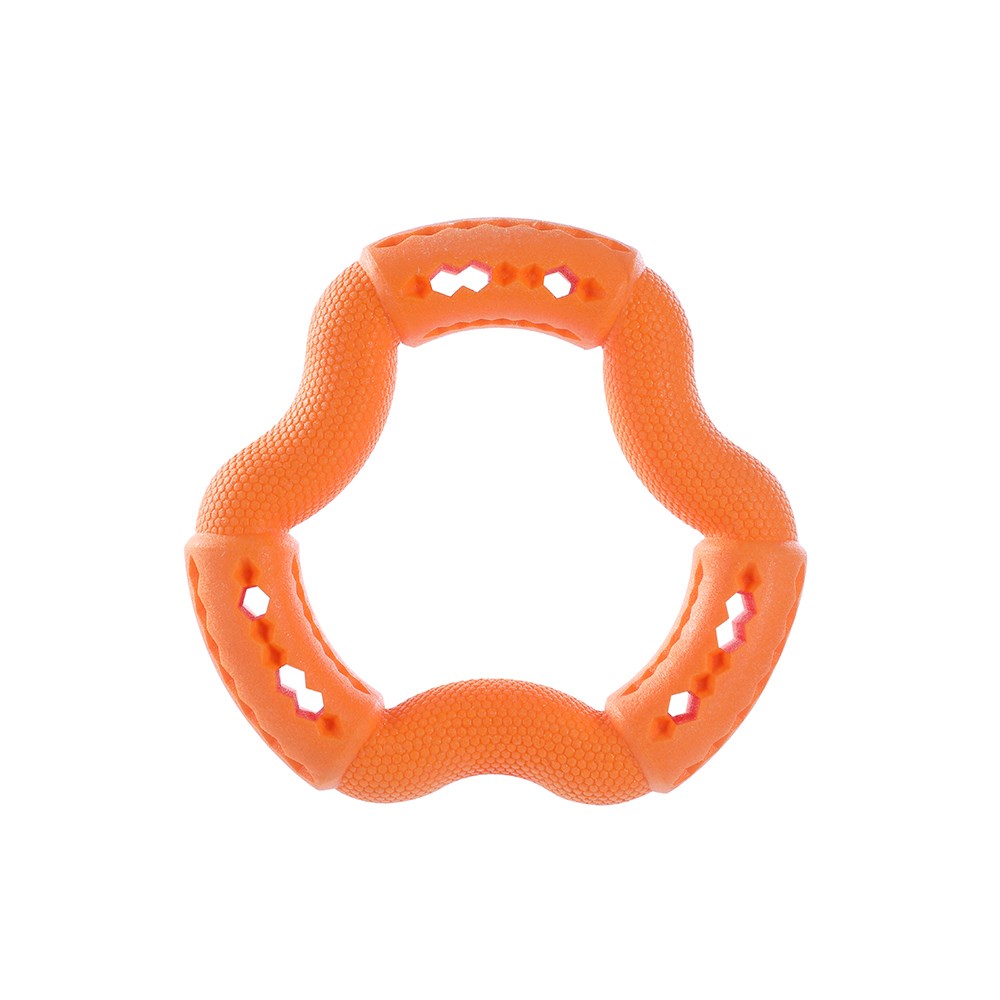 Fetch N' Play Treat Ring