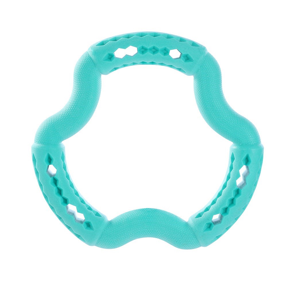 Fetch N' Play Treat Ring