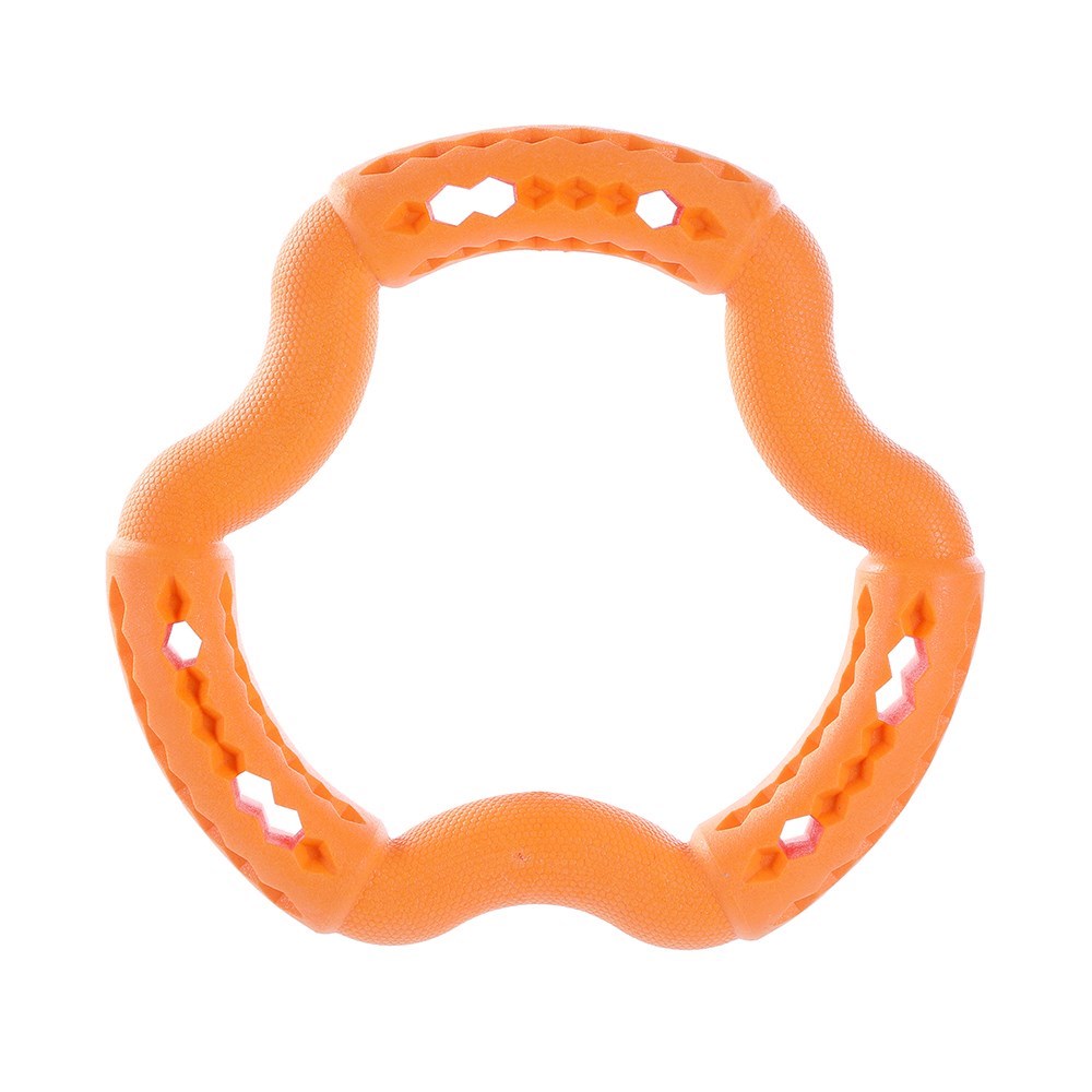 Fetch N' Play Treat Ring