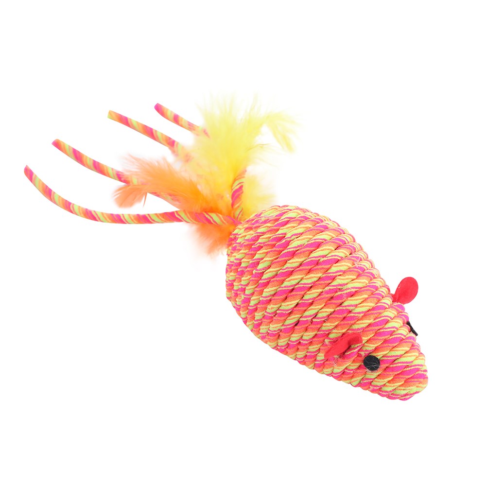 Cara Cat Stretchy Neon 2pk