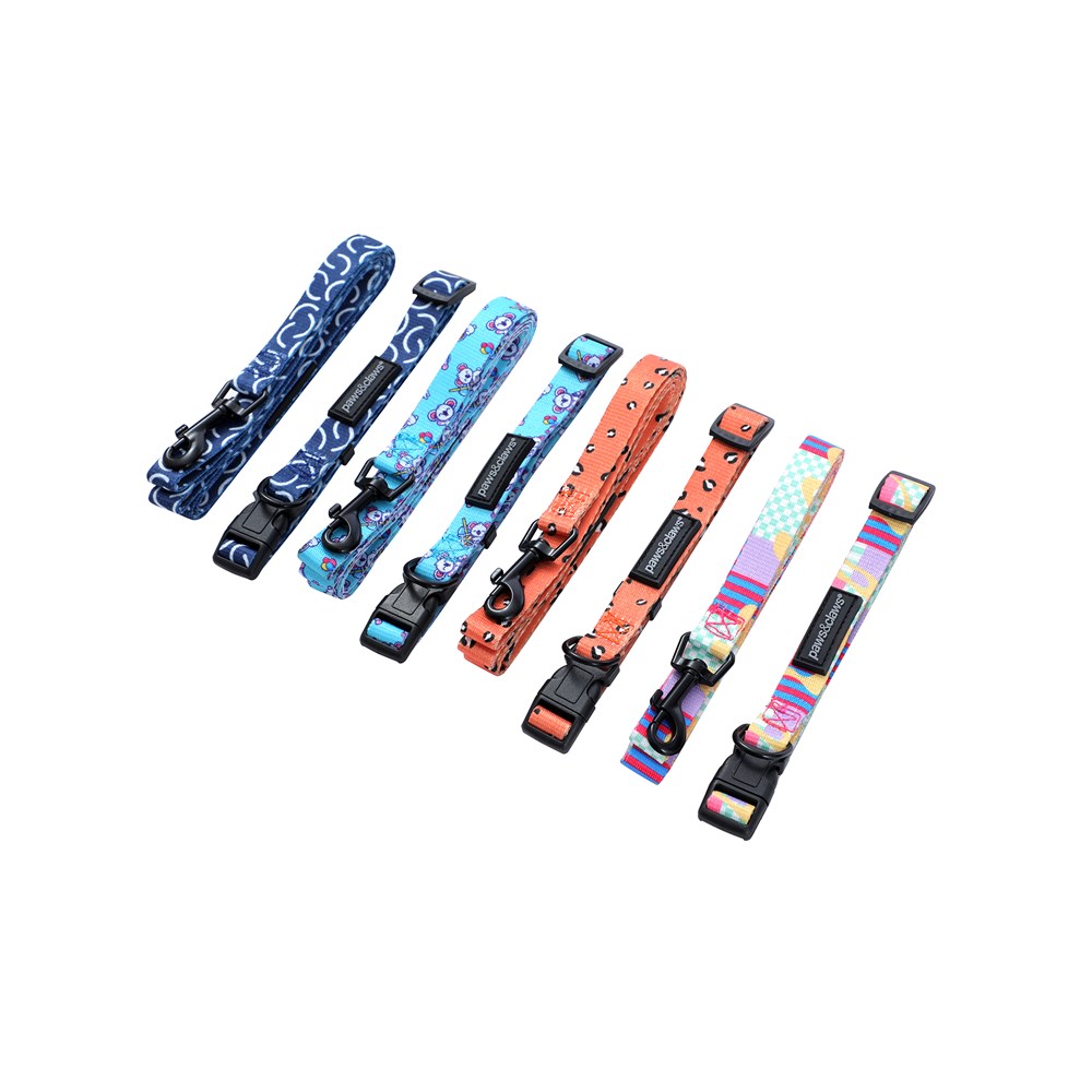 Park Life 2 Collar + Lead Set