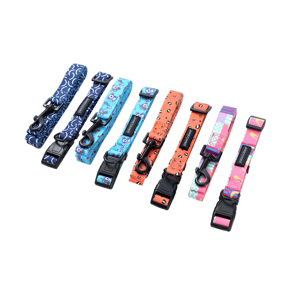 Park Life 2 Collar + Lead Set