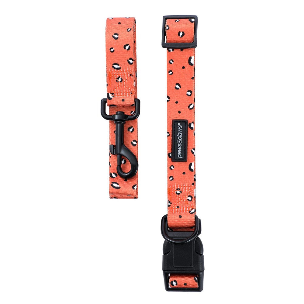 Park Life 2 Collar + Lead Set