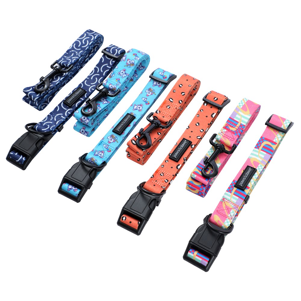 Park Life 2 Collar + Lead Set