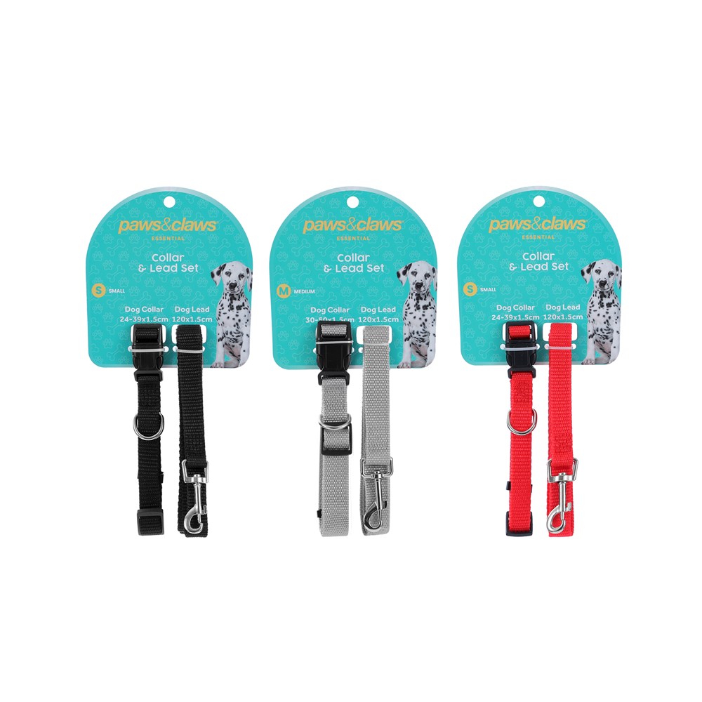 Essentials Collar & Lead Set