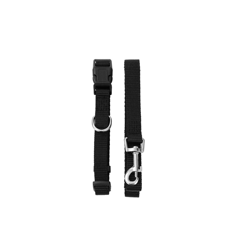 Essentials Collar & Lead Set