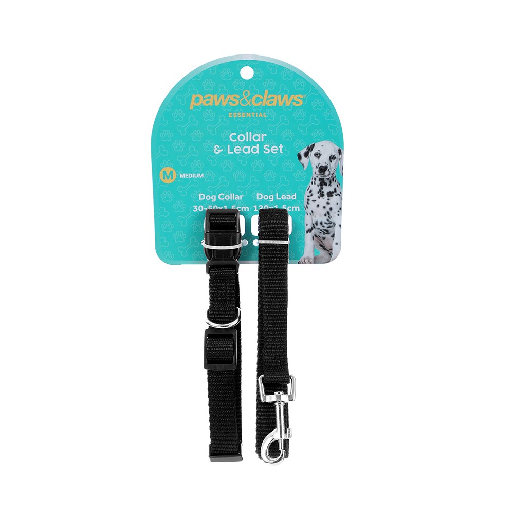 Essentials Collar & Lead Set