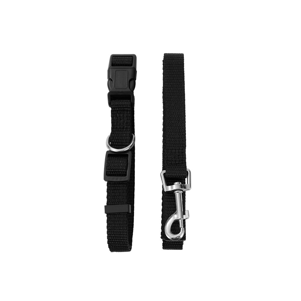Essentials Collar & Lead Set
