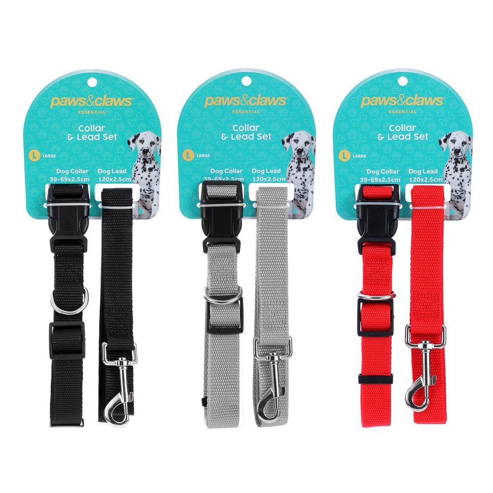 Essentials Collar & Lead Set