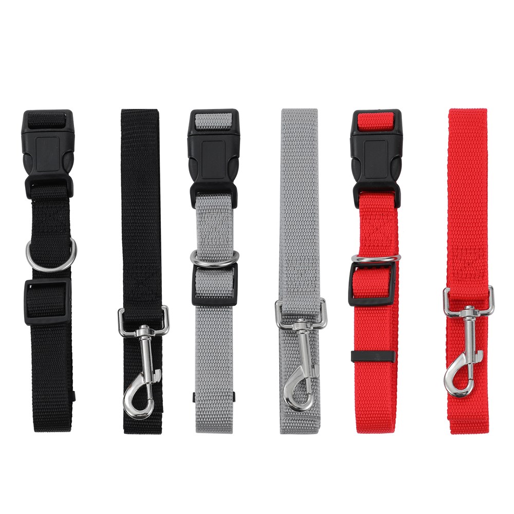 Essentials Collar & Lead Set