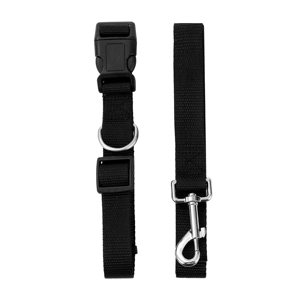 Essentials Collar & Lead Set
