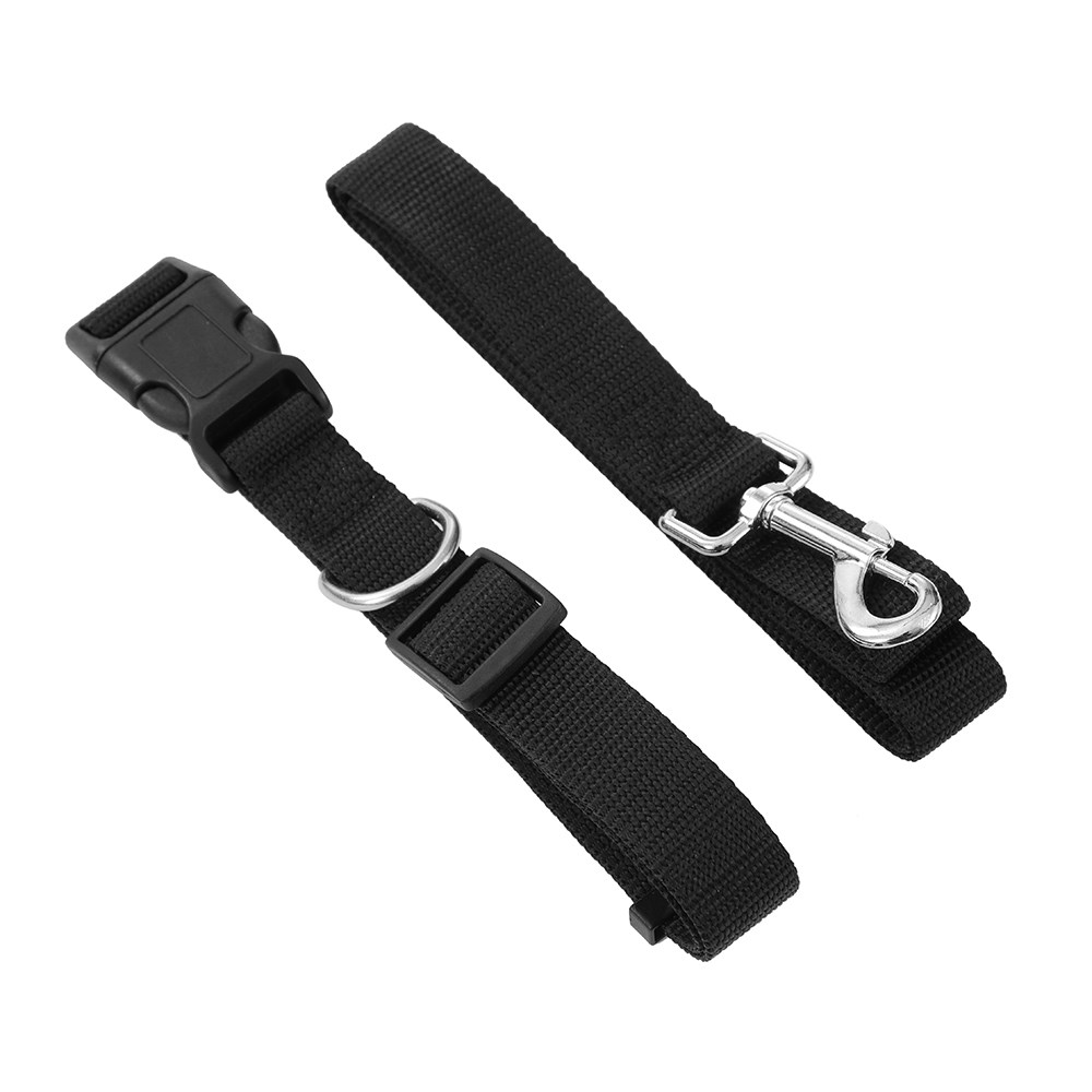 Essentials Collar & Lead Set