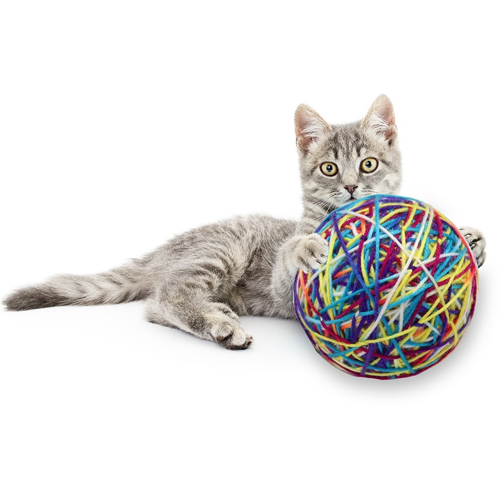 Cat Toy Wool Ball With Rattle