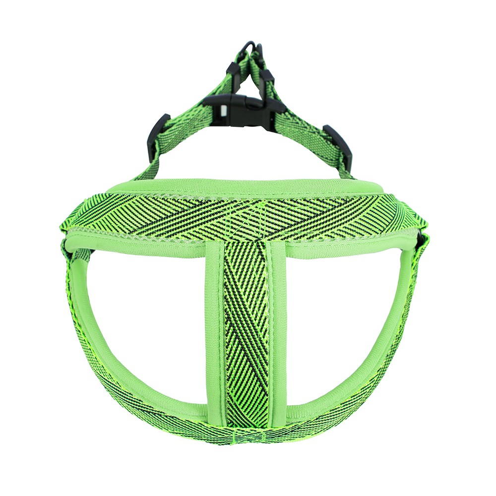 Mesh Lead & Harness