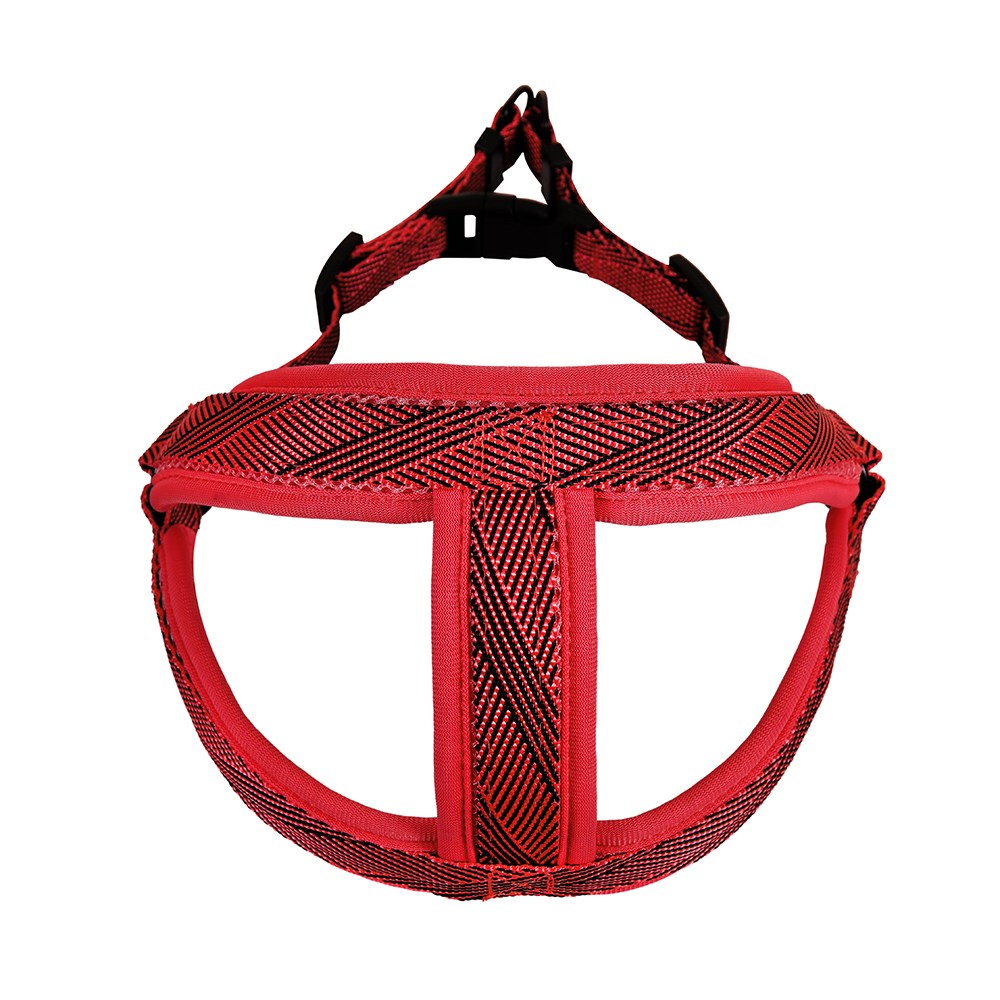 Mesh Lead & Harness