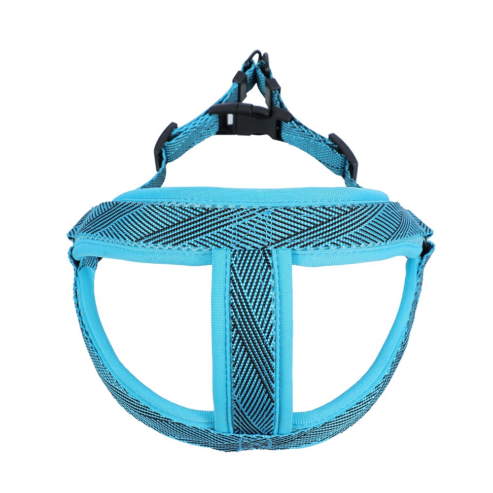 Mesh Lead & Harness