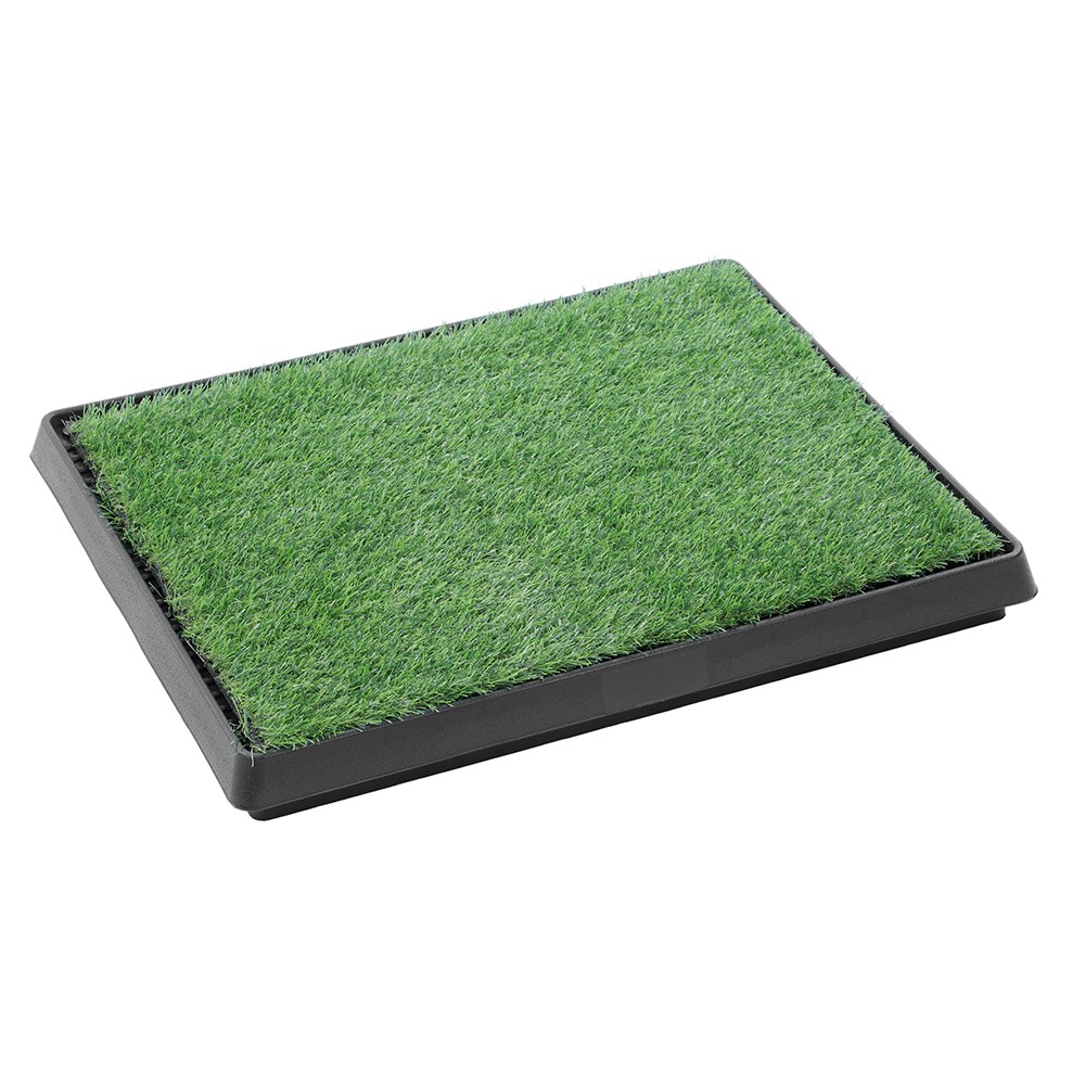 Pet Potty Grass