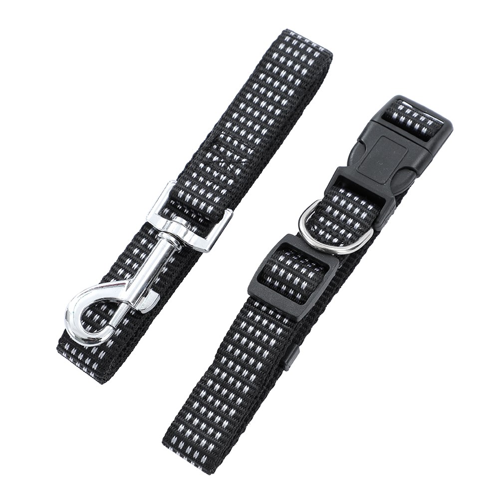 Collar & Lead Combo