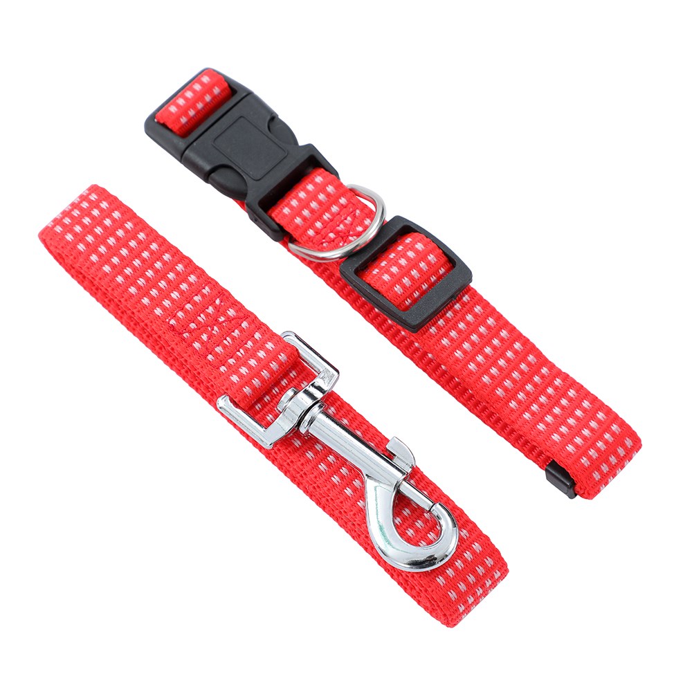 Collar & Lead Combo