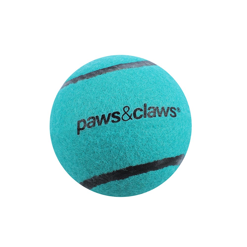 Squeaky Tennis Balls  2 Pack