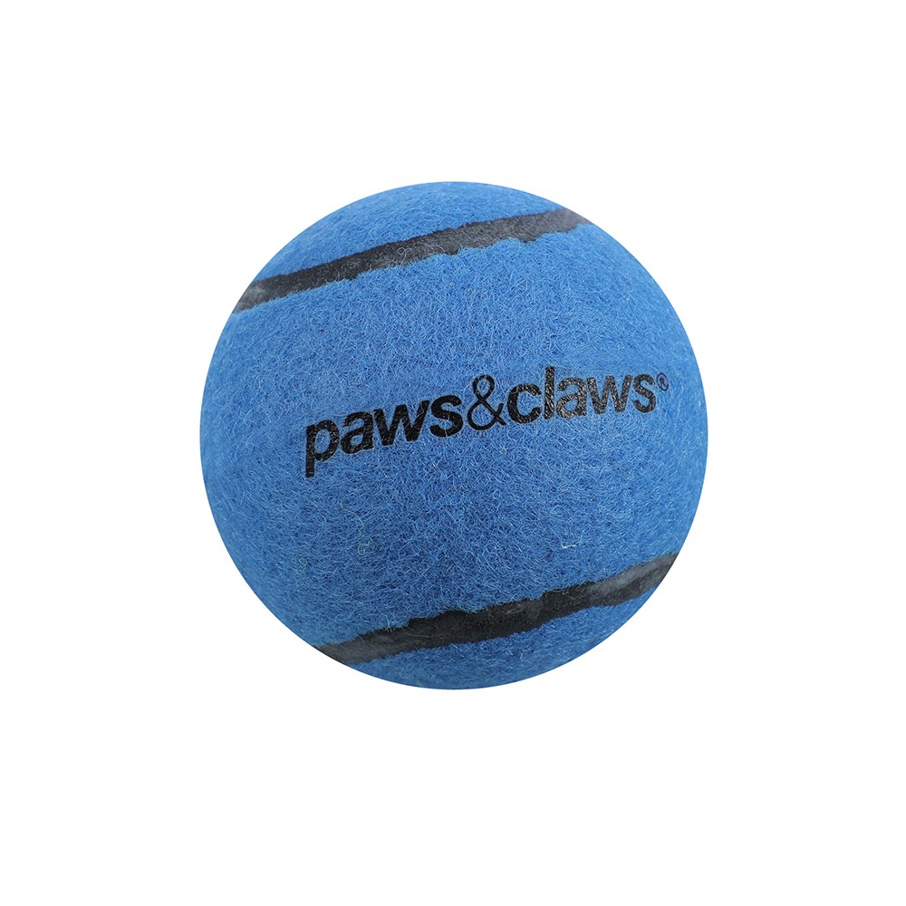 Squeaky Tennis Balls  2 Pack