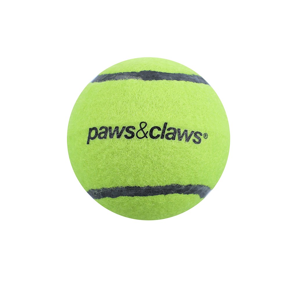 Squeaky Tennis Balls  2 Pack