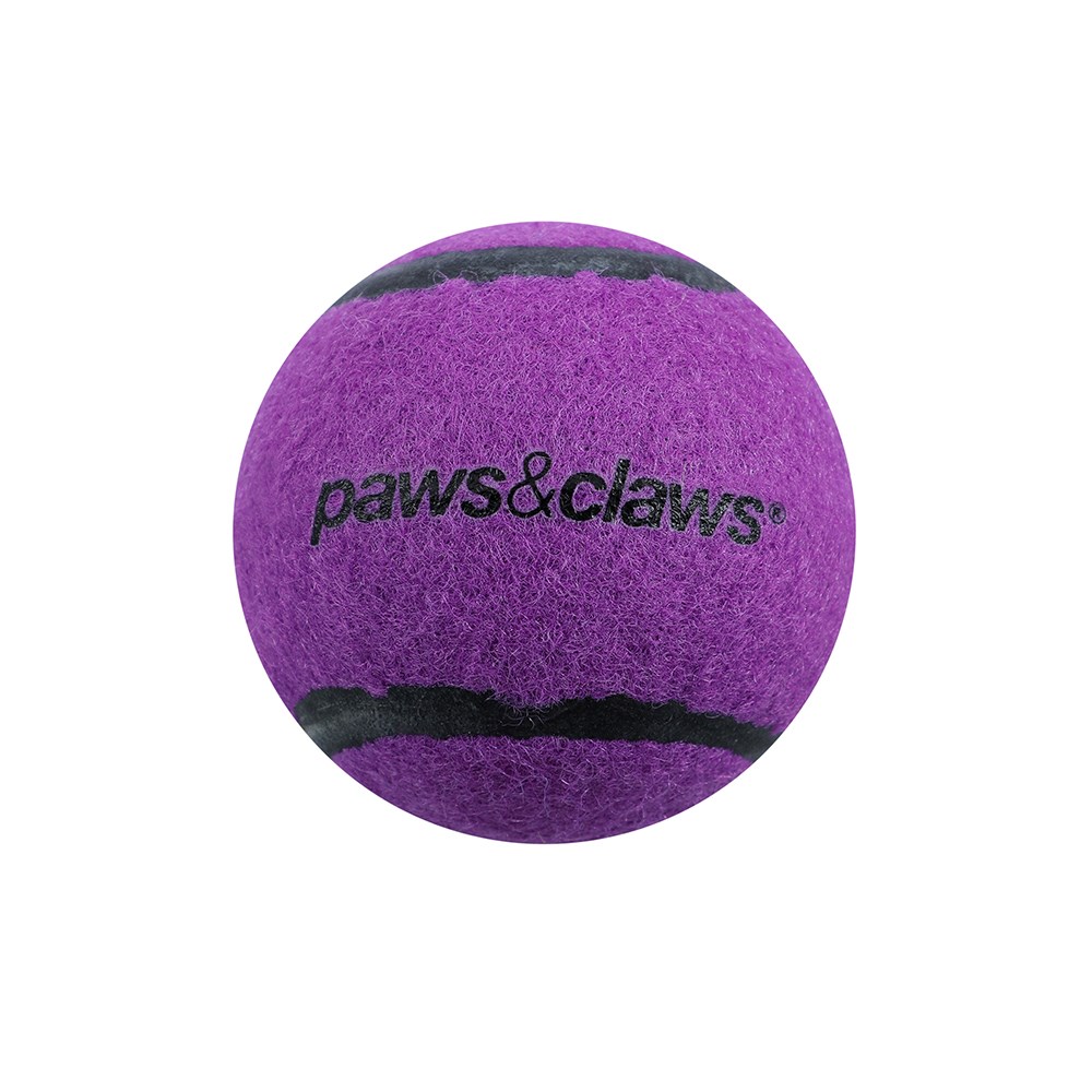 Squeaky Tennis Balls  2 Pack