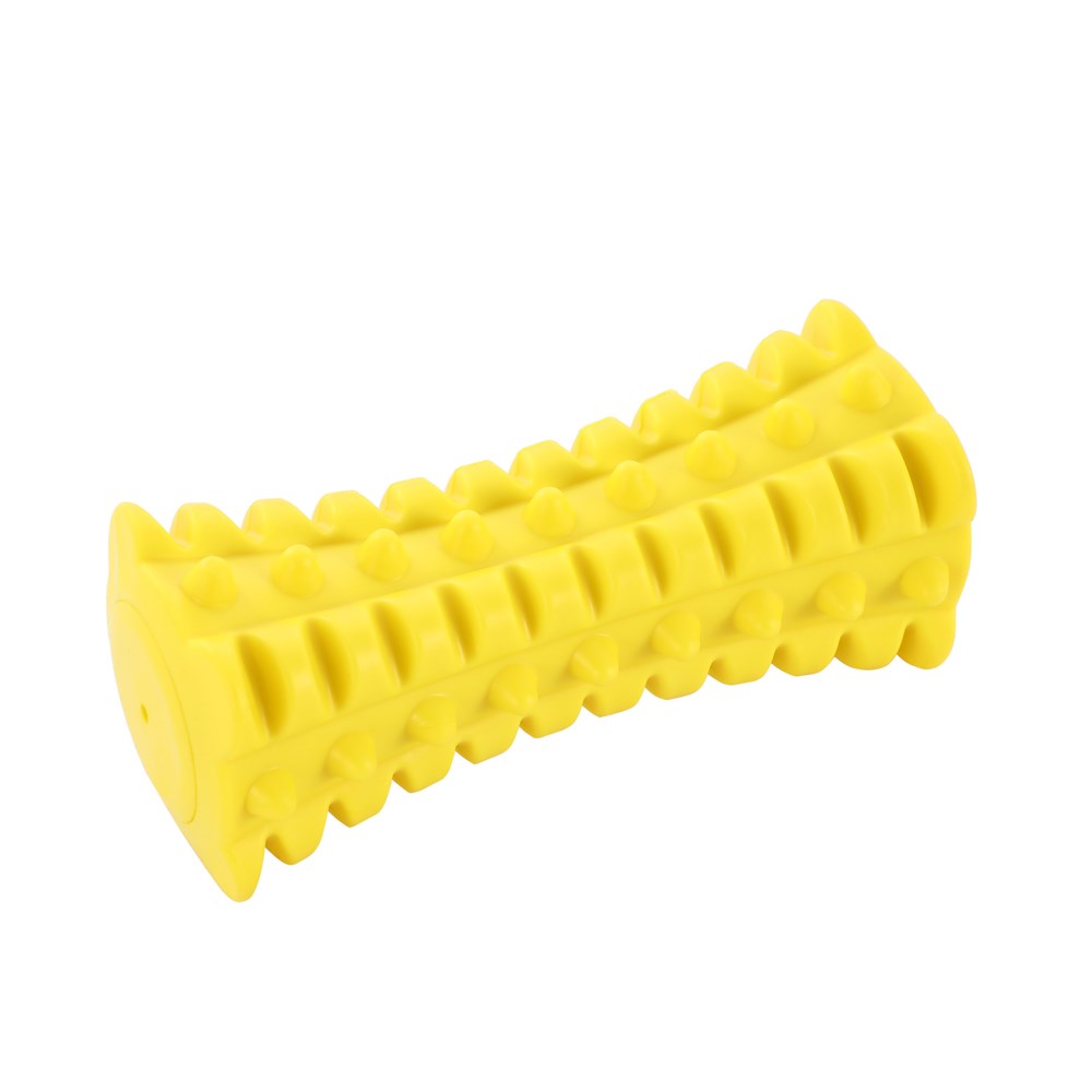 Flavour-Bone Spiky Bone