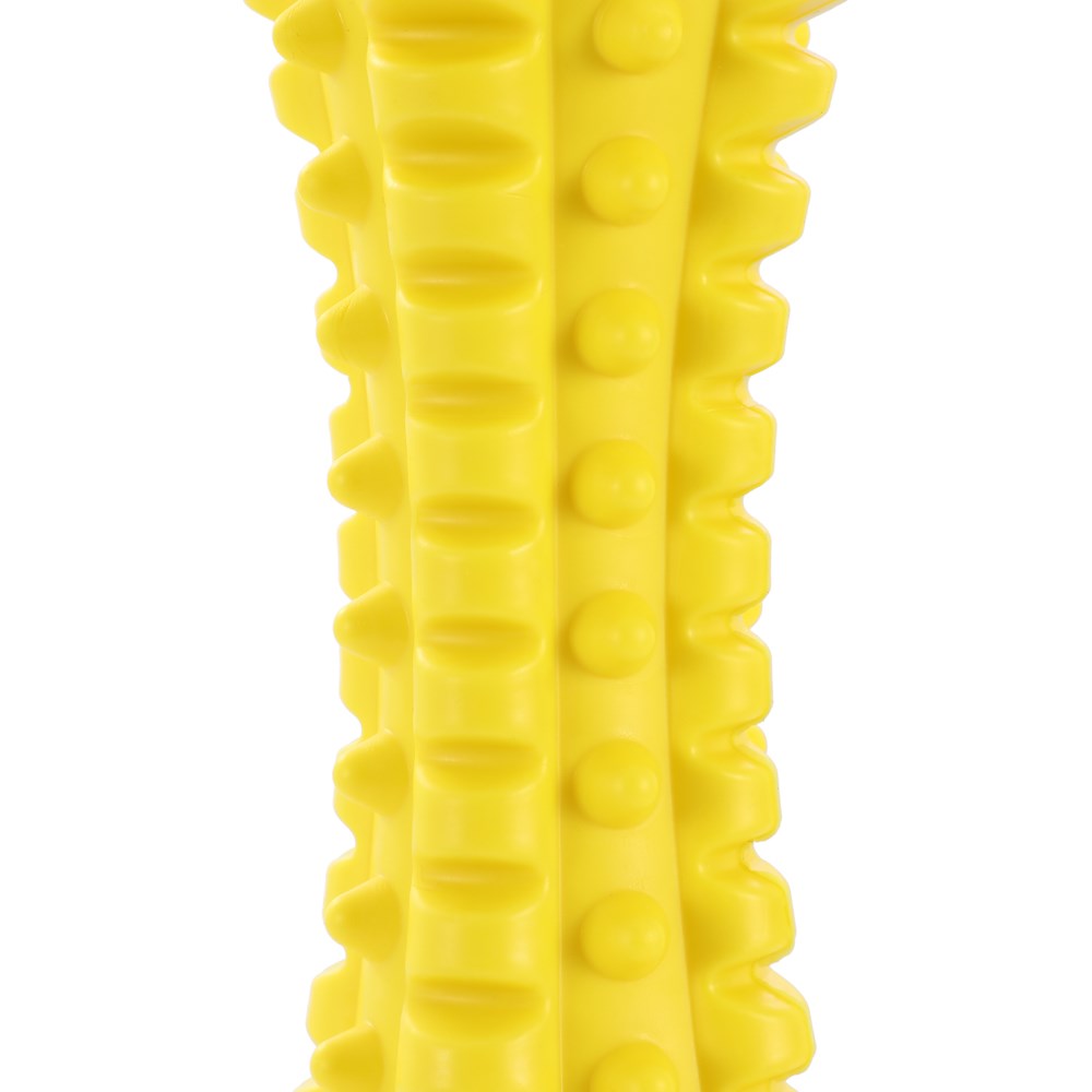 Flavour-Bone Spiky Bone