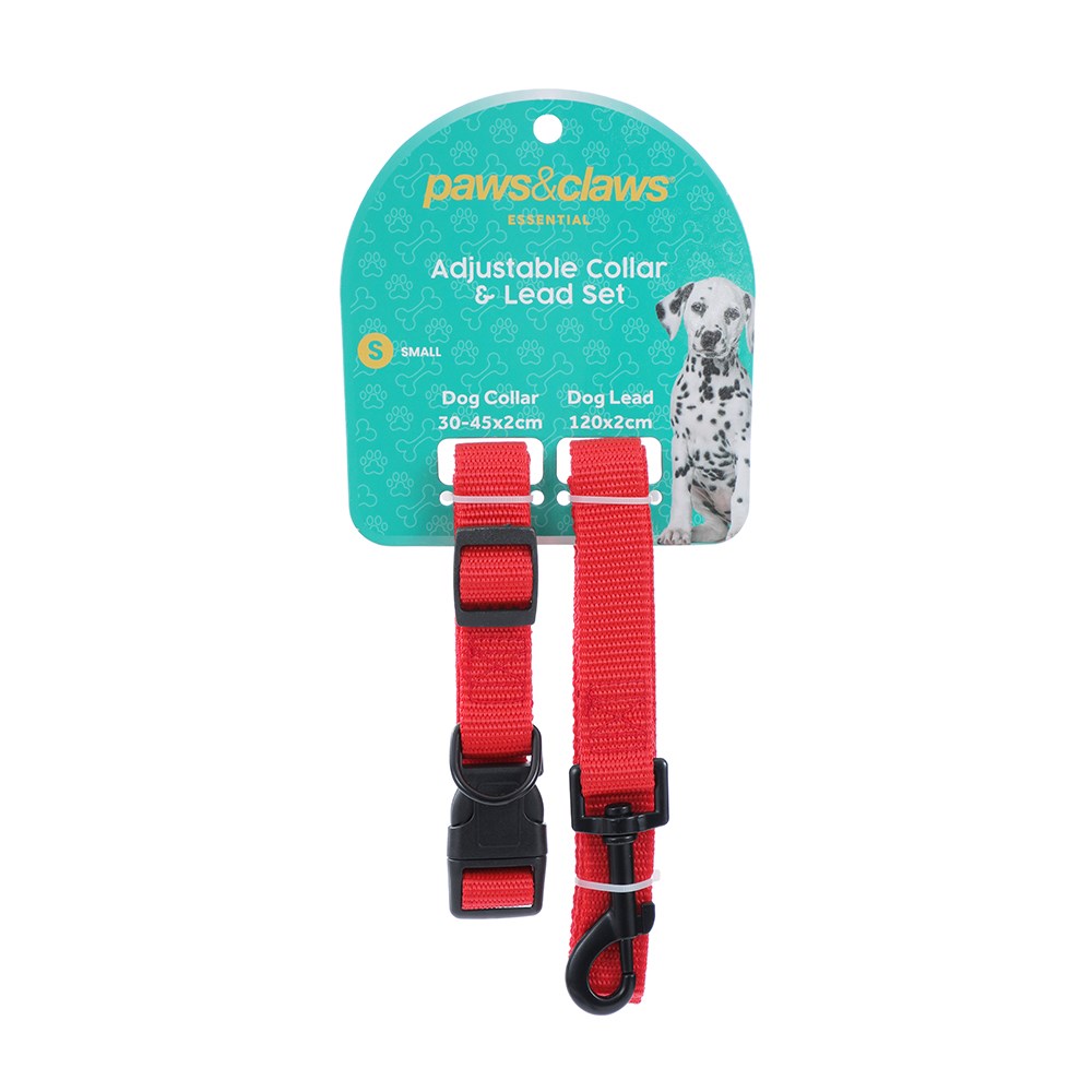 Essentials Dog Collar & Lead