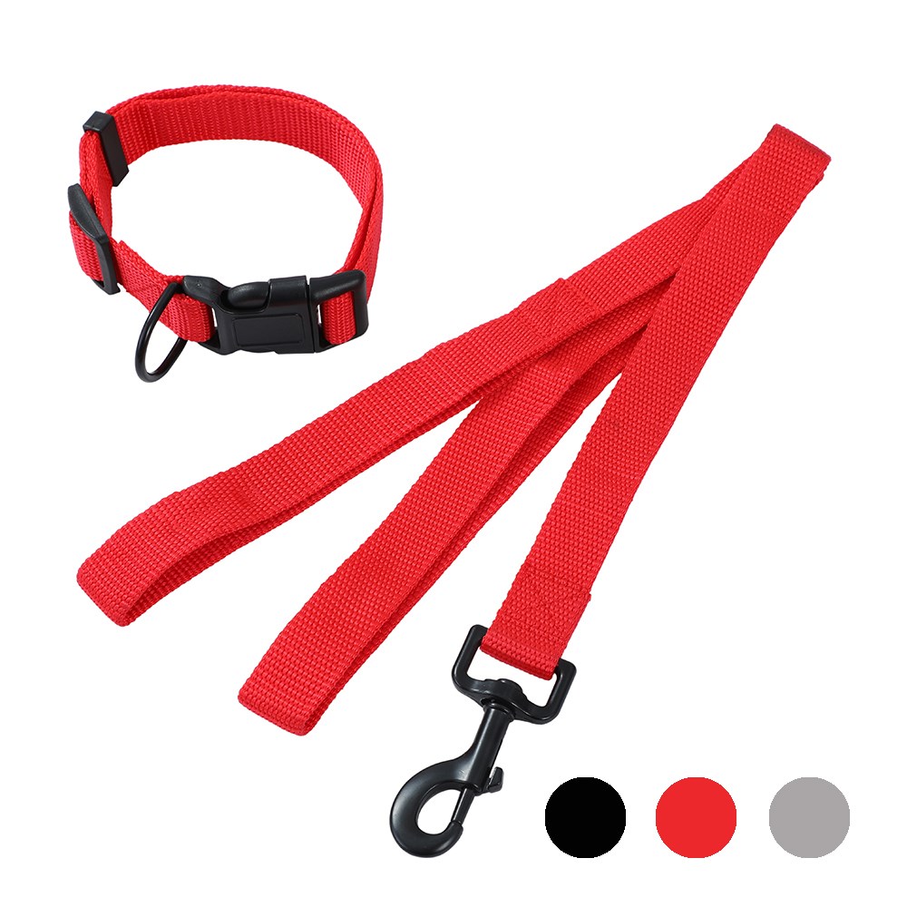 Essentials Dog Collar & Lead